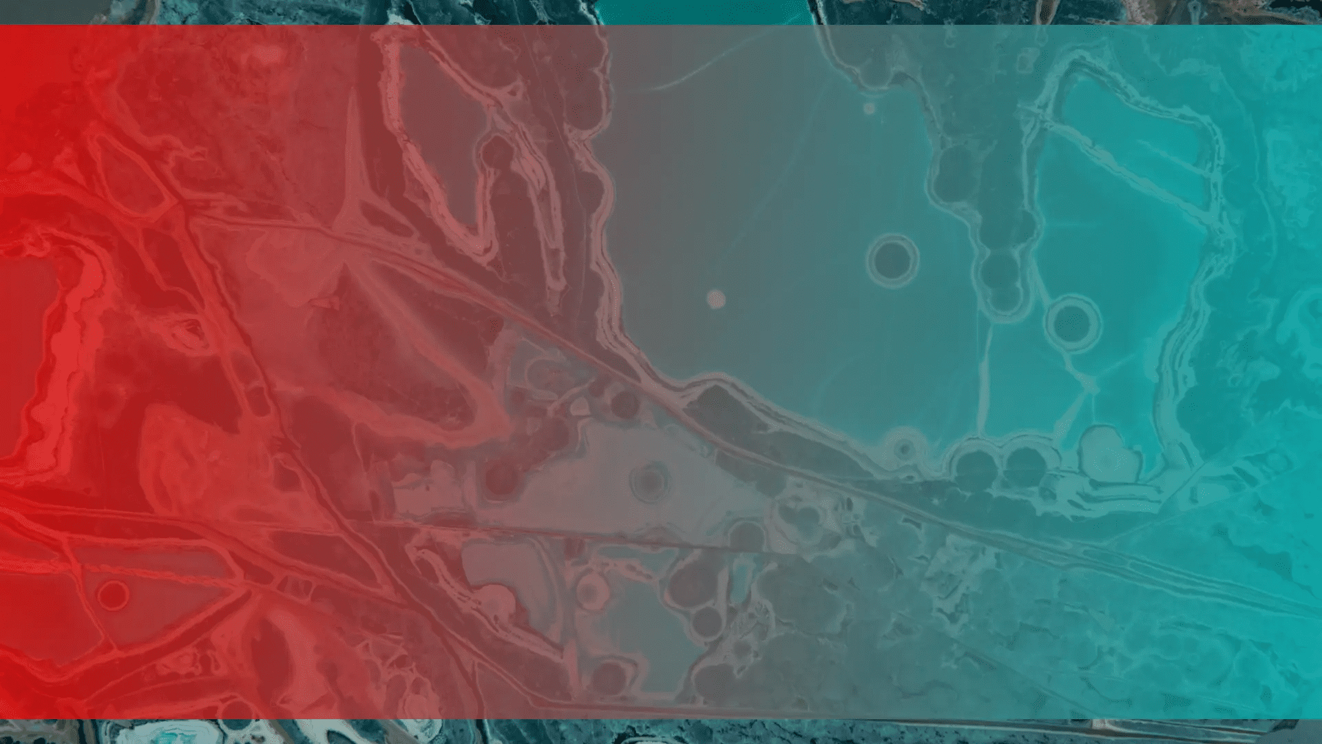 Global Trends in BioTech